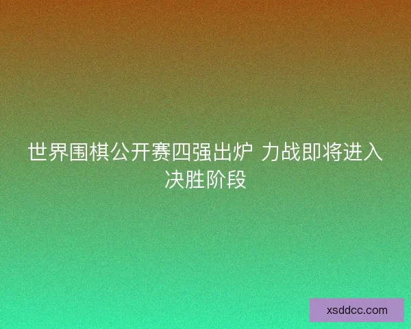 世界围棋公开赛四强出炉 力战即将进入决胜阶段