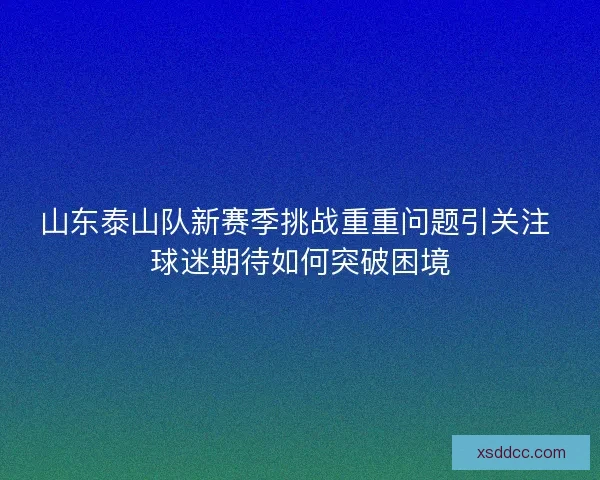 山东泰山队新赛季挑战重重问题引关注 球迷期待如何突破困境